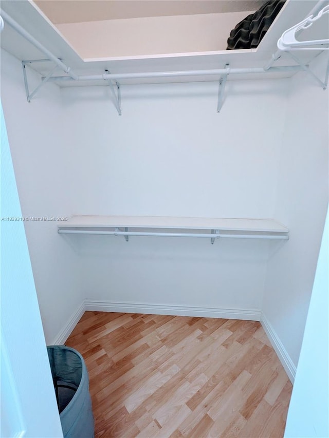 1900 Oceanwalk Ln Unit 123, Lauderdale By The Sea, FL 33062 - spacious closet with light wood-type flooring