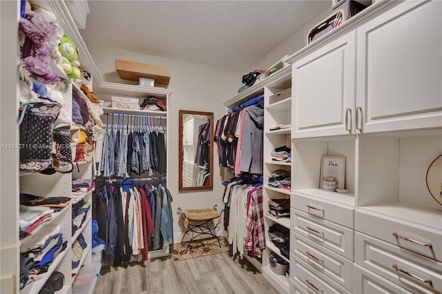 17809 Southwick Way, Boca Raton, FL 33498 - walk in closet with light wood-style floors