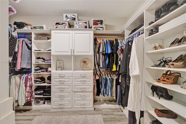 17809 Southwick Way, Boca Raton, FL 33498 - spacious closet with light wood finished floors