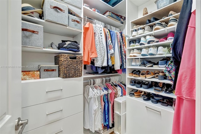 15734 SW Egret Coast Dr, Port St Lucie, FL 34987 - view of walk in closet