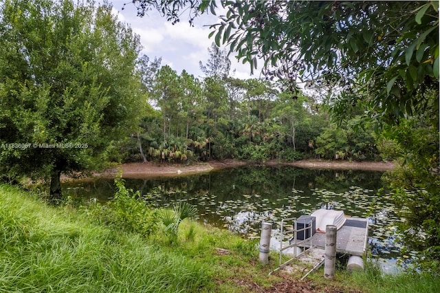 10709 N 159th Ct N, Jupiter, FL 33478 - photo 69