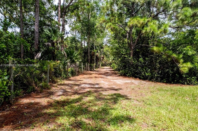 10709 N 159th Ct N, Jupiter, FL 33478 - photo 70