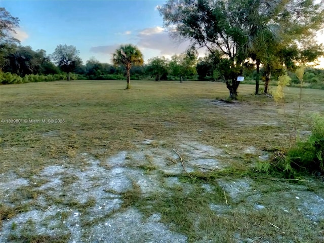 17212 NW 288th St, Okeechobee, FL 34972 - photo 5