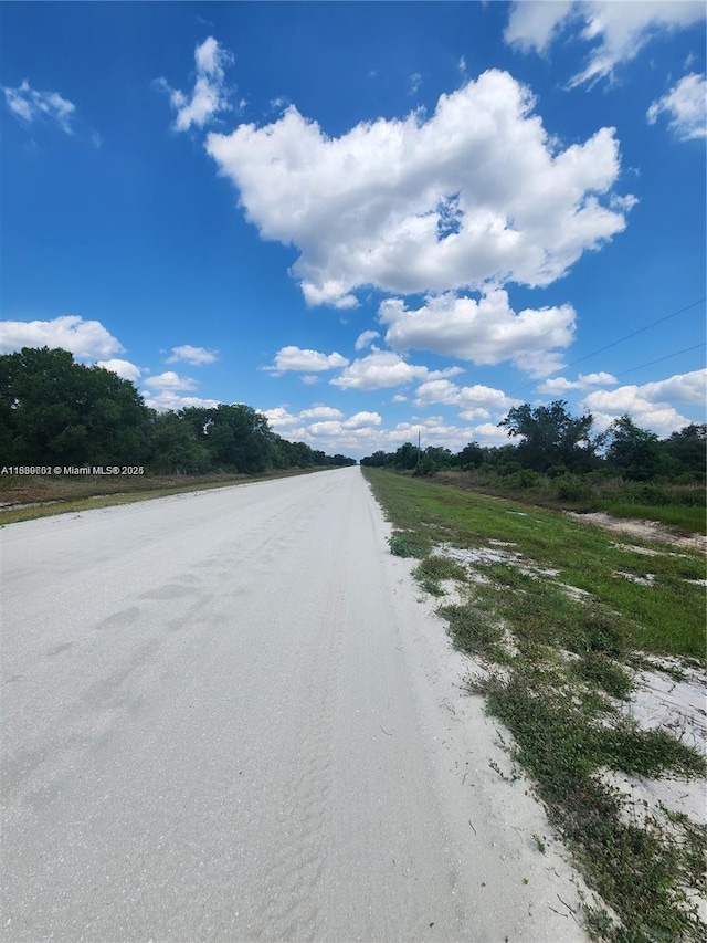 17212 NW 288th St, Okeechobee, FL 34972 - photo 6