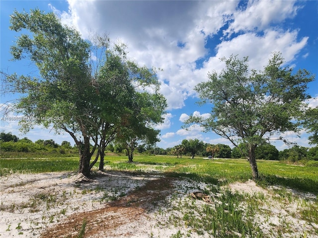 17212 NW 288th St, Okeechobee, FL 34972 - photo 7
