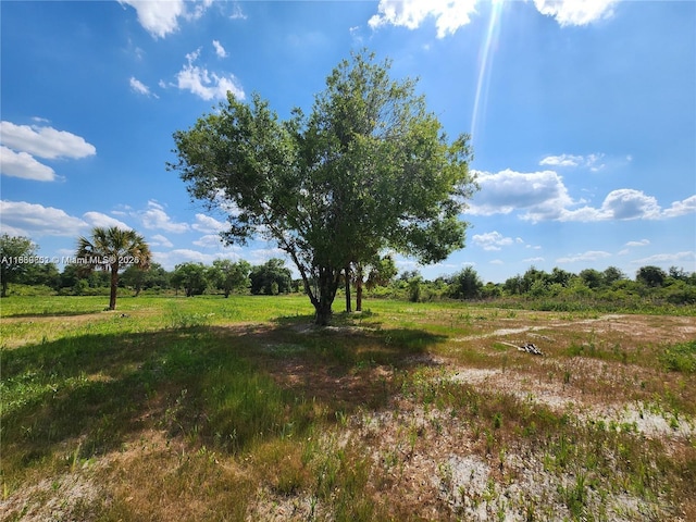 17212 NW 288th St, Okeechobee, FL 34972 - photo 8