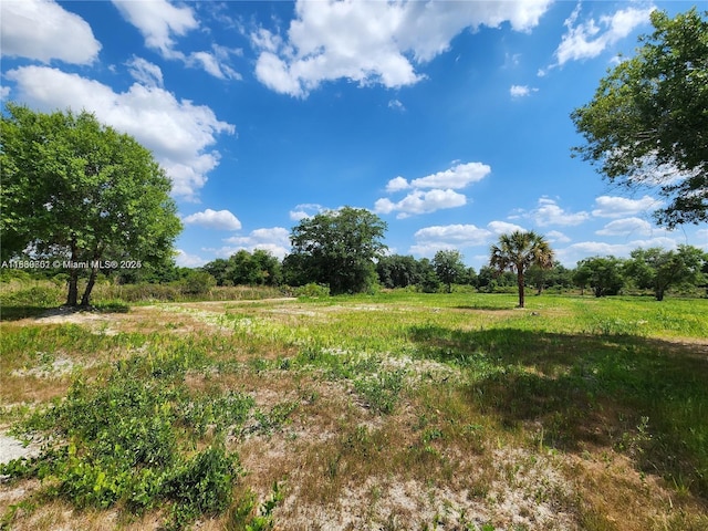 17212 NW 288th St, Okeechobee, FL 34972 - photo 9