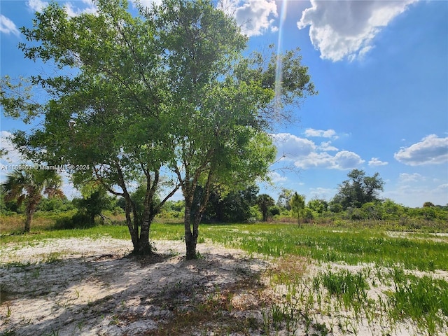 17212 NW 288th St, Okeechobee, FL 34972 - photo 10