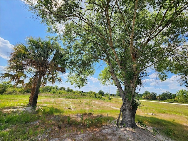 17212 NW 288th St, Okeechobee, FL 34972 - photo 11