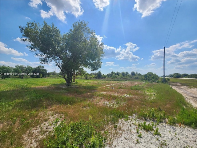 17212 NW 288th St, Okeechobee, FL 34972 - photo 12