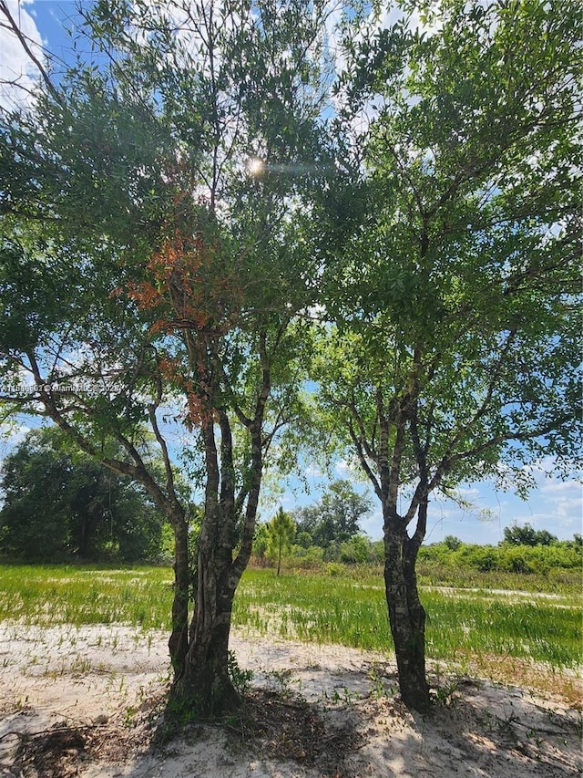 17212 NW 288th St, Okeechobee, FL 34972 - photo 13