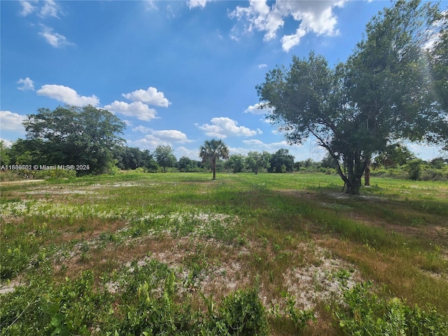 17212 NW 288th St, Okeechobee, FL 34972 - photo 14