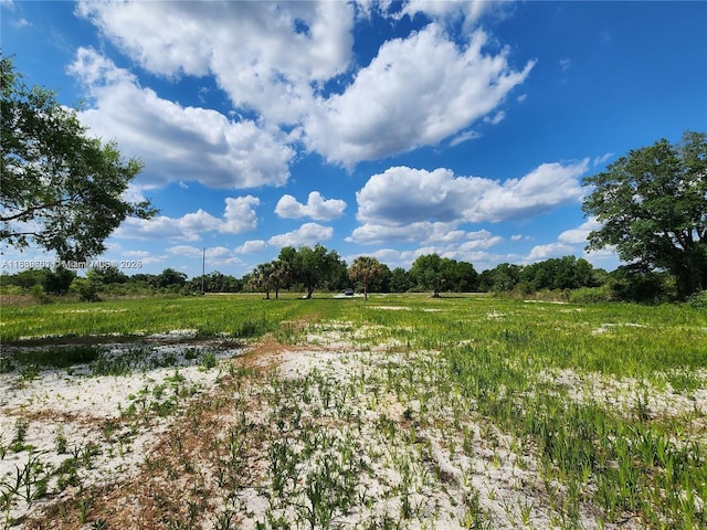 17212 NW 288th St, Okeechobee, FL 34972 - photo 15