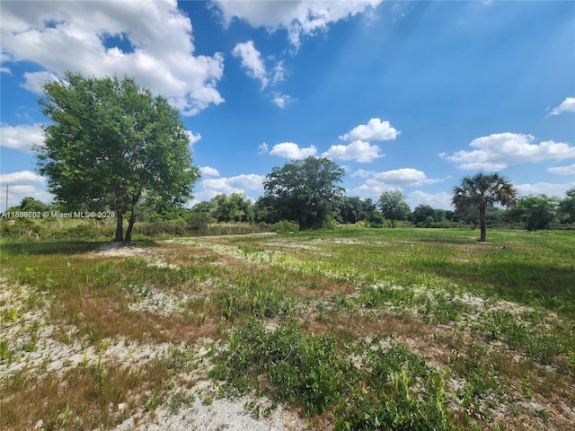 17212 NW 288th St, Okeechobee, FL 34972 - photo 18