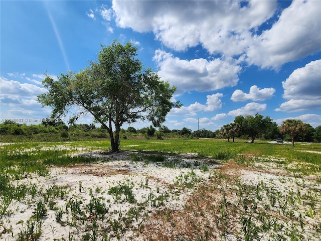 17212 NW 288th St, Okeechobee, FL 34972 - photo 19