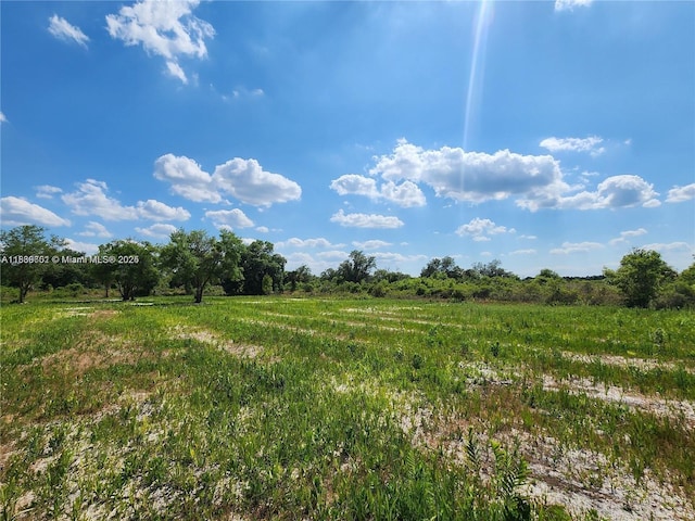 17212 NW 288th St, Okeechobee, FL 34972 - photo 20