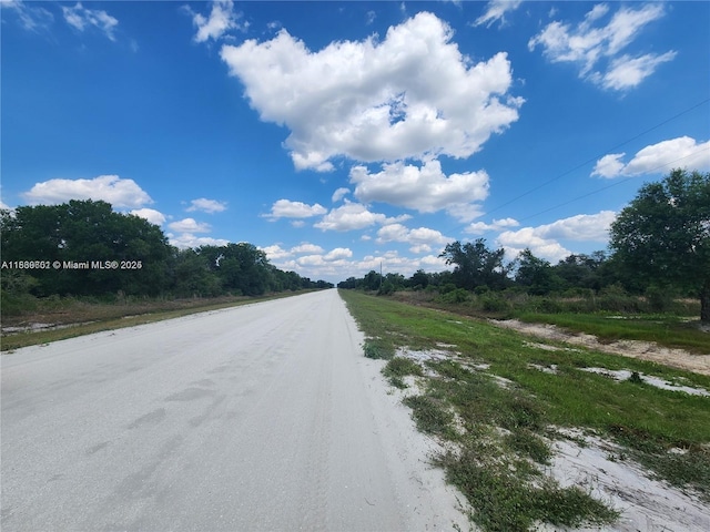 17212 NW 288th St, Okeechobee, FL 34972 - photo 22