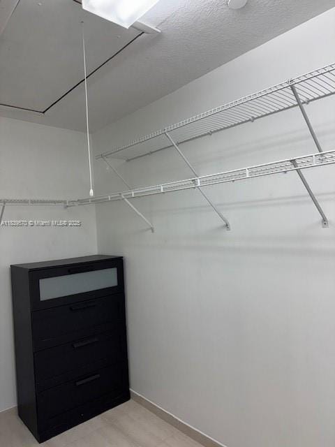 901 SW 141st Ave Unit 405M, Pembroke Pines, FL 33027 - view of spacious closet