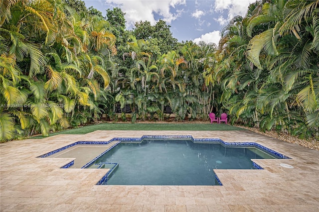 10608 NW 36th St, Coral Springs, FL 33065 - view of swimming pool