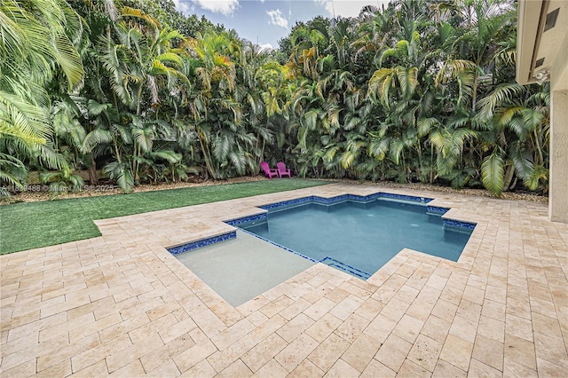 10608 NW 36th St, Coral Springs, FL 33065 - swimming pool with a patio