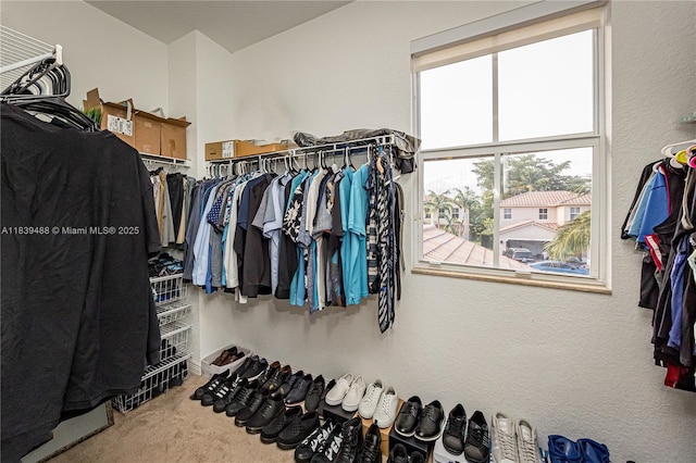 10608 NW 36th St, Coral Springs, FL 33065 - walk in closet featuring carpet floors