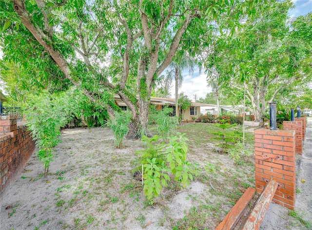 7140 Fillmore St, Hollywood, FL 33024 - view of yard