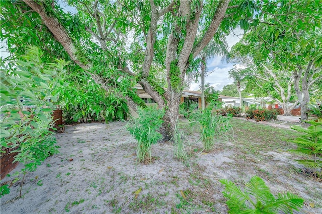 7140 Fillmore St, Hollywood, FL 33024 - view of yard