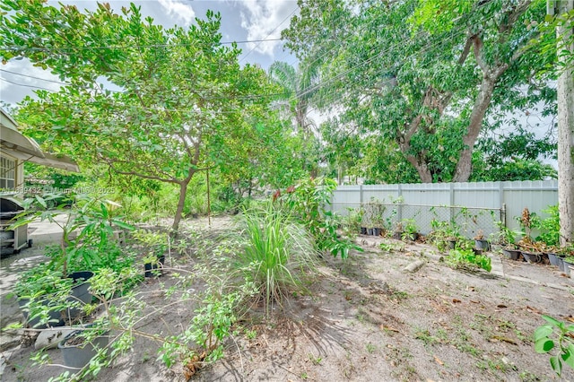 7140 Fillmore St, Hollywood, FL 33024 - view of yard