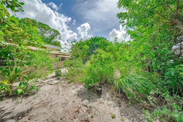 7140 Fillmore St, Hollywood, FL 33024 - view of yard