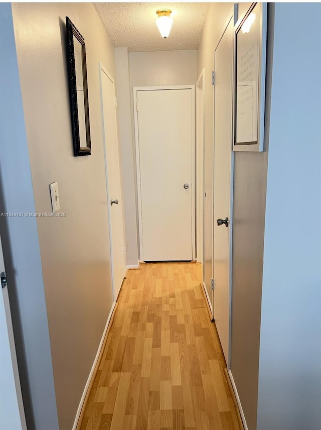 1228 W Ave Unit 911, Miami Beach, FL 33139 - hall featuring light wood-style flooring and a textured ceiling