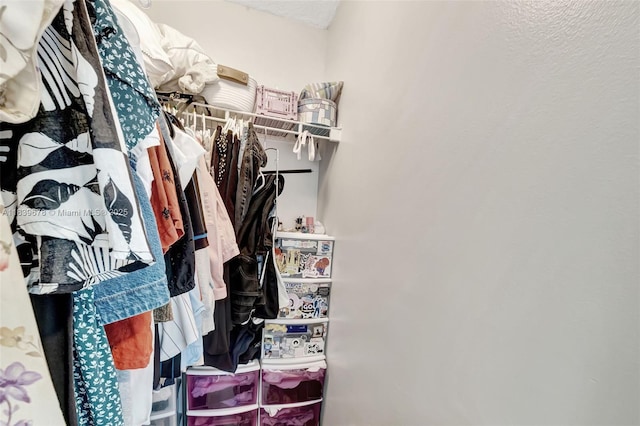 3051 SW 27th Ave Unit 402, Miami, FL 33133 - view of walk in closet