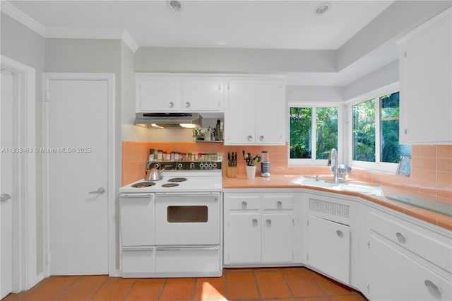 2665 SW 17th Ave, Miami, FL 33133 - kitchen with white electric range oven, under cabinet range hood, decorative backsplash, white cabinetry, and light tile patterned flooring