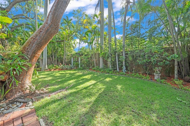 2665 SW 17th Ave, Miami, FL 33133 - view of yard