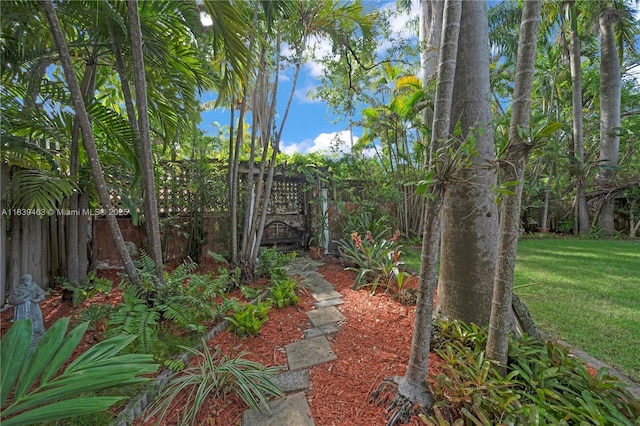 2665 SW 17th Ave, Miami, FL 33133 - view of yard