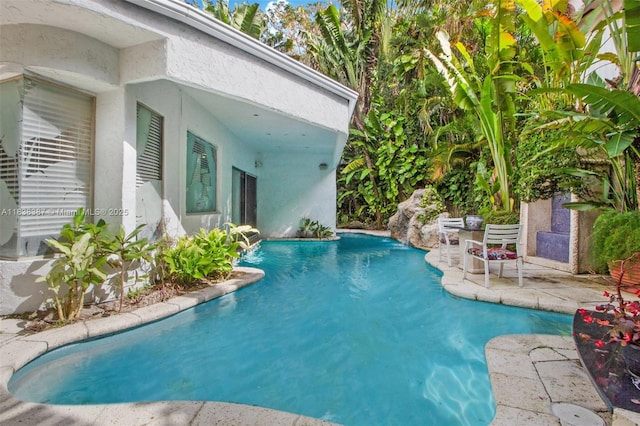 3200 Morris Ln, Miami, FL 33133 - swimming pool featuring a patio area