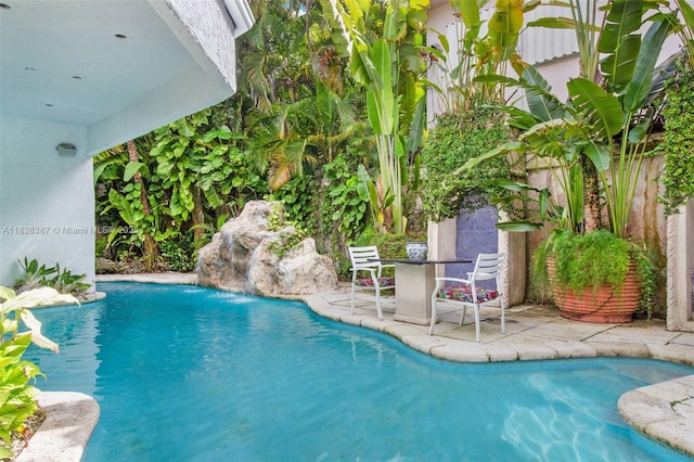 3200 Morris Ln, Miami, FL 33133 - view of outdoor pool