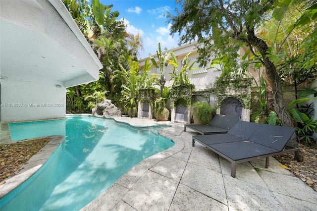 3200 Morris Ln, Miami, FL 33133 - outdoor pool with a patio area