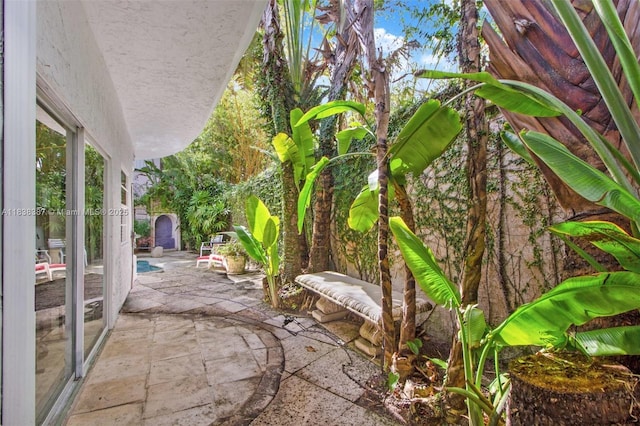 3200 Morris Ln, Miami, FL 33133 - view of patio