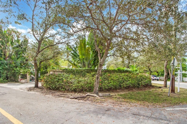 3200 Morris Ln, Miami, FL 33133 - view of asphalt road