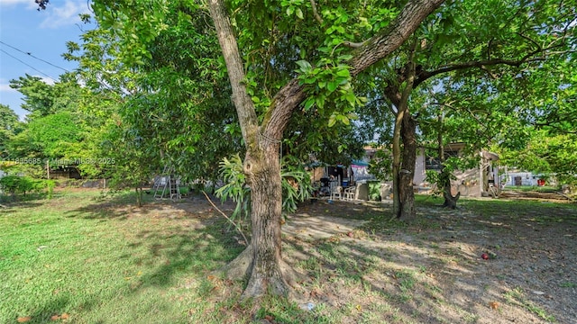 521 SE 5th St, Hialeah, FL 33010 - view of grassy yard