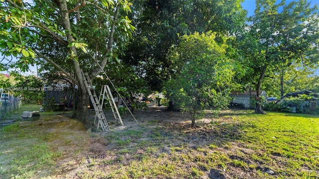 521 SE 5th St, Hialeah, FL 33010 - view of yard