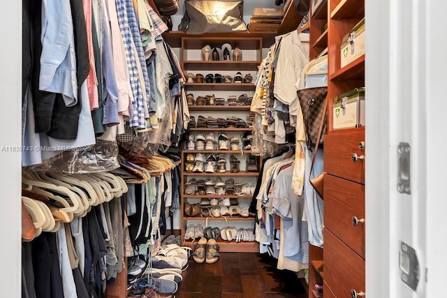9031 SW 66th Ter, Miami, FL 33173 - view of spacious closet