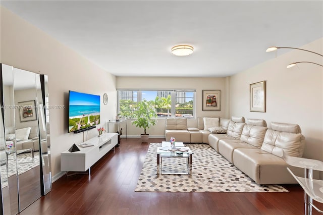 1700 NE 105th St Unit 312, Miami Shores, FL 33138 - living room featuring wood finished floors