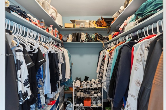 1700 NE 105th St Unit 312, Miami Shores, FL 33138 - view of walk in closet