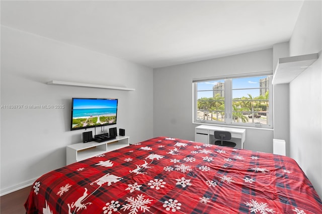 1700 NE 105th St Unit 312, Miami Shores, FL 33138 - bedroom featuring wood finished floors