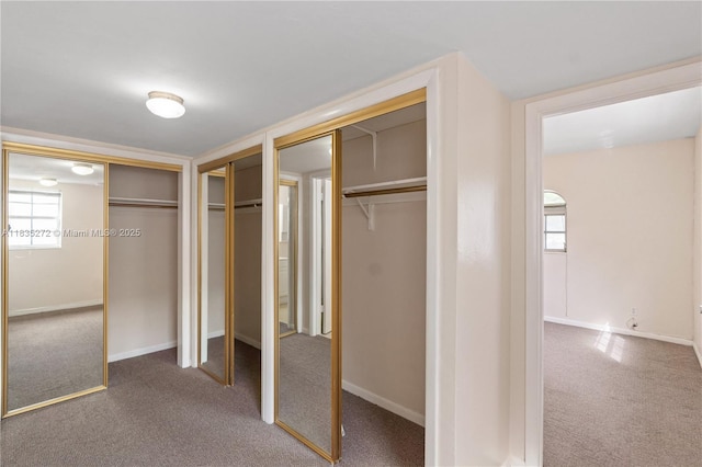 16805 SW 113th Ave Unit V41443, Miami, FL 33157 - view of closet