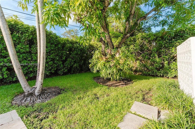 8501 SW 72nd Ter, Miami, FL 33143 - view of green lawn