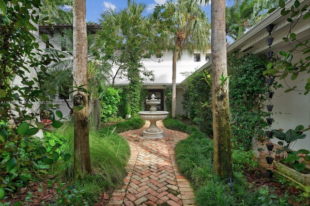 315 E Rivo Alto Dr, Miami Beach, FL 33139 - view of yard