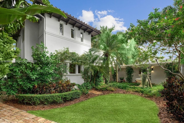315 E Rivo Alto Dr, Miami Beach, FL 33139 - view of yard