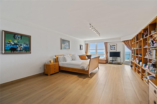 445 Grand Bay Dr Unit 1011, Key Biscayne, FL 33149 - bedroom with light wood-style floors, crown molding, rail lighting, and access to outside